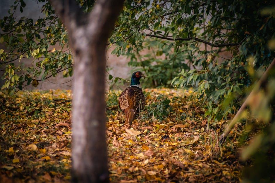 Numer IBAN – co to jest i jak go używać?